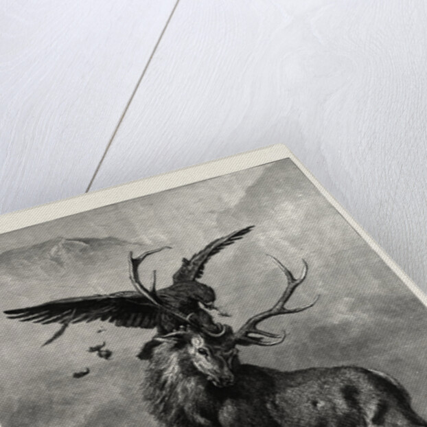 A Royal Duel Between a Stag and an Eagle by Anonymous