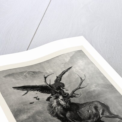 A Royal Duel Between a Stag and an Eagle by Anonymous