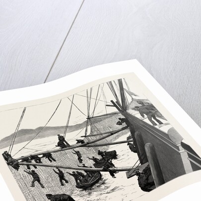 Throwing Out Torpedo-Nets to Protect the Sultan by Anonymous