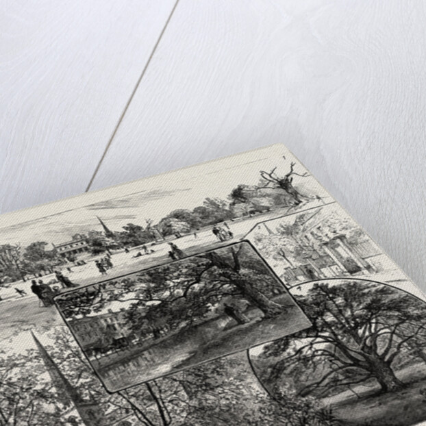 Breathing Spaces for London, Clissold Park, Stoke Newington, Open to the Public on Sundays by Anonymous