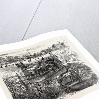 Breathing Spaces for London, Clissold Park, Stoke Newington, Open to the Public on Sundays by Anonymous