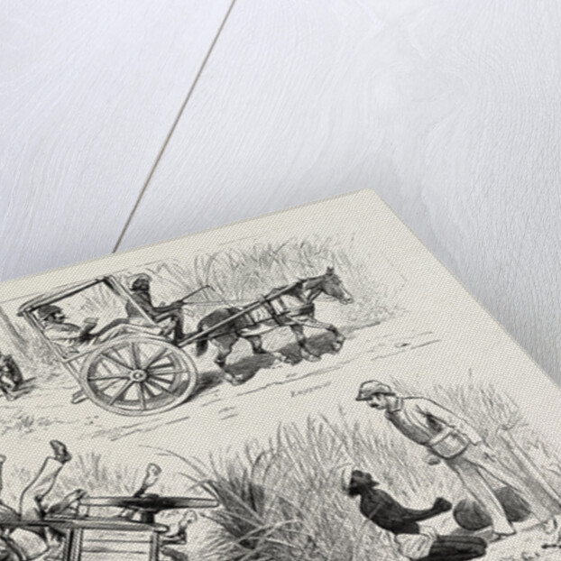 Experiences of a Traveller in an Indian Country Cart by Anonymous
