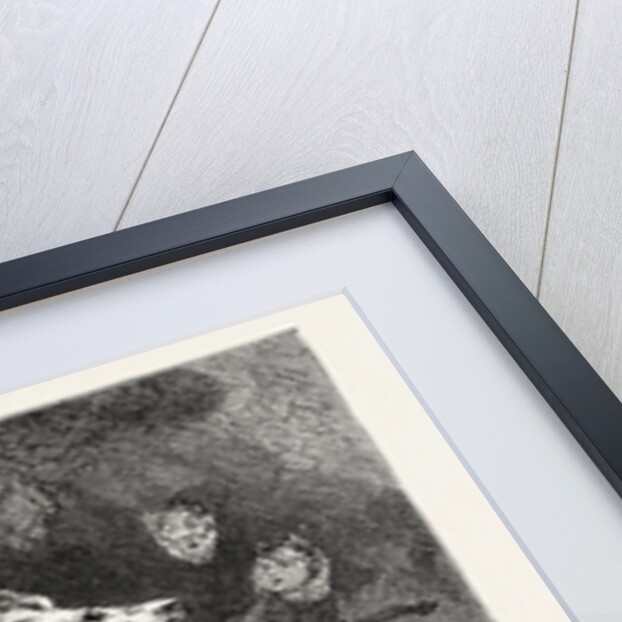 Parliamentary Elections and Electioneering in the Old Days: J. Doyle: Mazeppa: Again He Urges on His Wild Career, August 7, 1832 by Anonymous