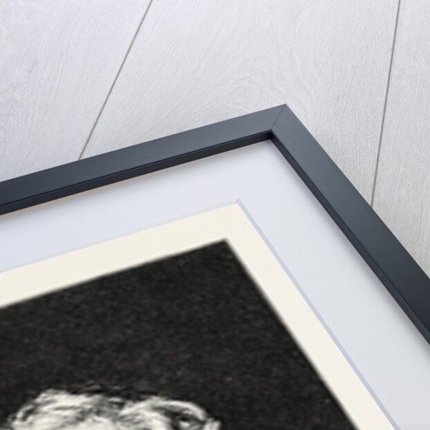 Lord Shaftesbury by Anonymous