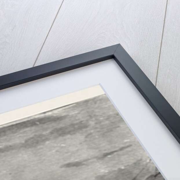 The Wreck of the Hanoverian at Portugal Cove, Trepassey Bay, Newfoundland: Portugal Cove and the Wrecked Vessel by Anonymous