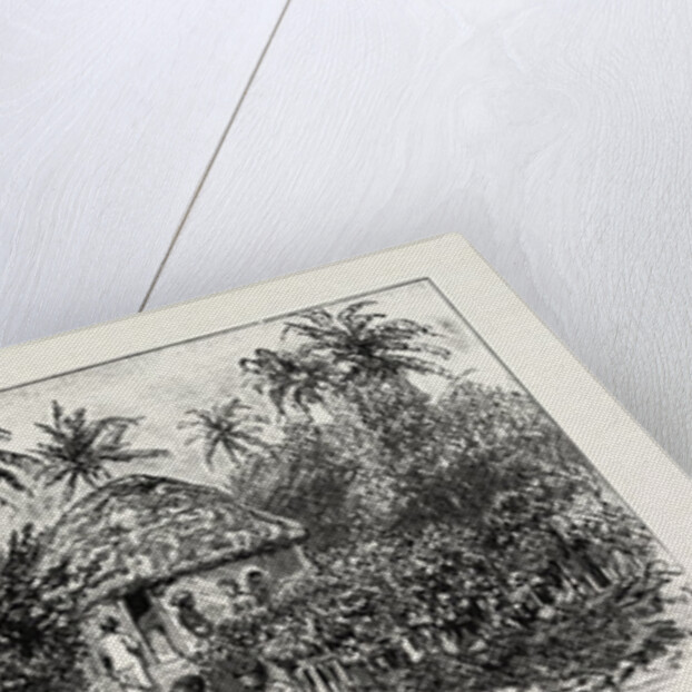 A Large Tree at Nukualofa, Tonga Islands; a Tongan Village, Vavau, Tonga Islands by Anonymous