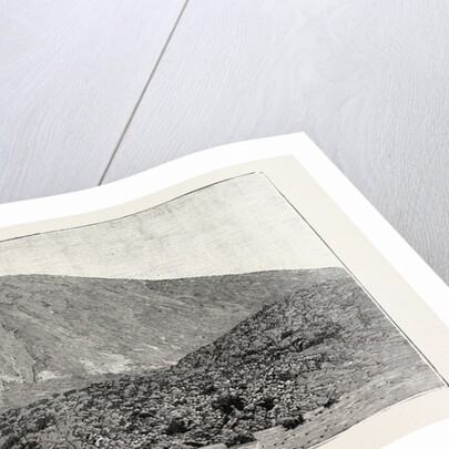 The Peak of Tenerife, from the Canadas on the South, the Canary Islands by Anonymous