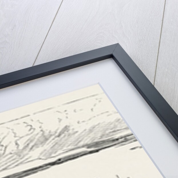 The Prince of Wales in Norway: View of Molde with the Osborne and Sunbeam at Anchor. by Anonymous