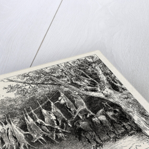 A Buck-Hunting Excursion in South Africa: Our Larder and Stable by Anonymous