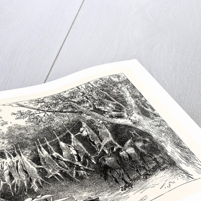 A Buck-Hunting Excursion in South Africa: Our Larder and Stable by Anonymous