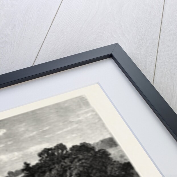 Leeds, Roundhay Park, the Waterloo Lake by Anonymous