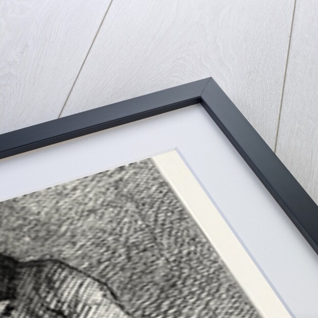 Thomas Carlyle by Anonymous