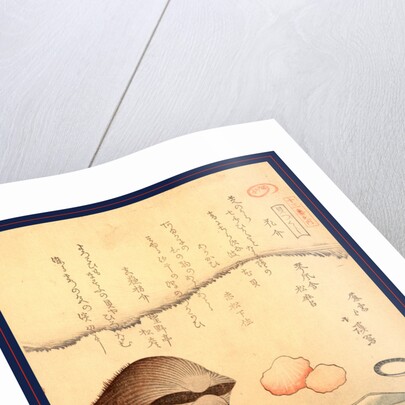 Hana Gai Aragai Masuo Gai, Aragai Hokkei, 1780-1850, by Anonymous