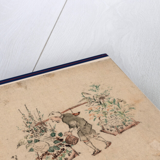 Hanauri, Flower Vendor by Anonymous