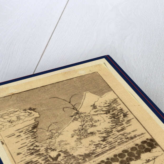 Futomi Fuji, Mount Fuji at Second Glance by Anonymous