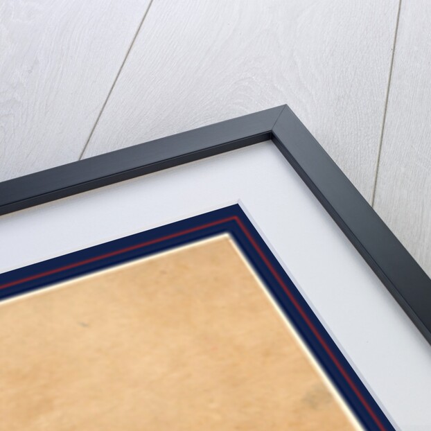 Flower or Vegetable in a Flowerpot by Anonymous