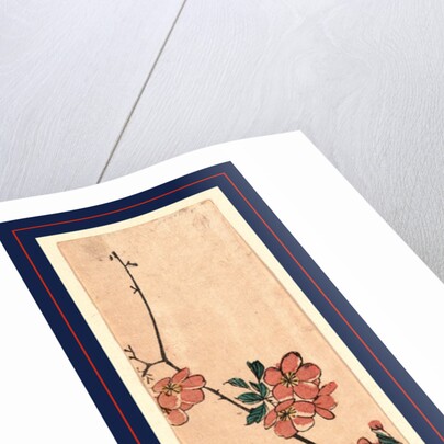 Kaido Ni Shokin, Small Bird on a Branch of Kaidozakura by Anonymous