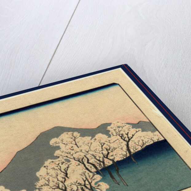 Grove of Blossoming Cherry Trees with Mountain in the Background. by Anonymous