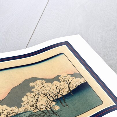 Grove of Blossoming Cherry Trees with Mountain in the Background. by Anonymous