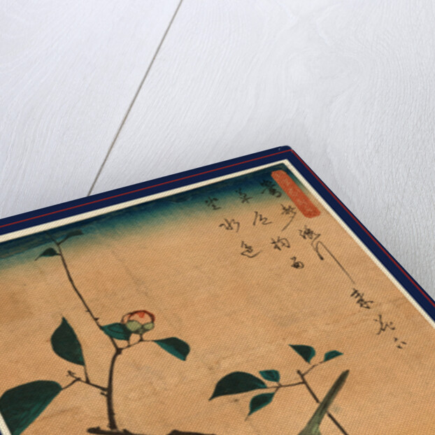 Tsubaki ni uguisu, Camellia and Bush Warbler by Ando Hiroshige