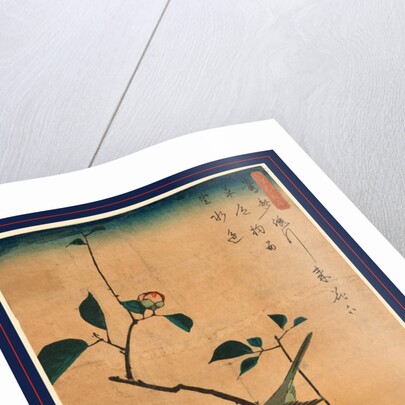 Tsubaki ni uguisu, Camellia and Bush Warbler by Ando Hiroshige