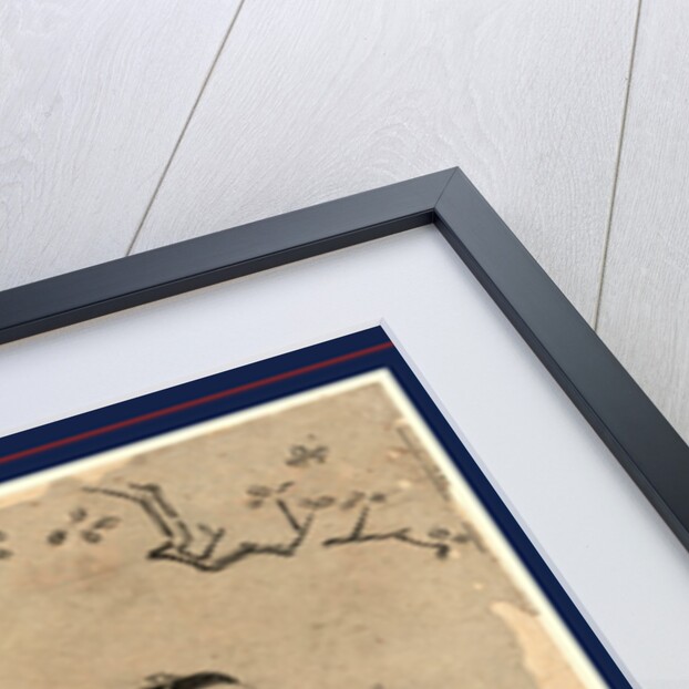 Hanami, Cherry blossom viewing by Torii Kiyonaga