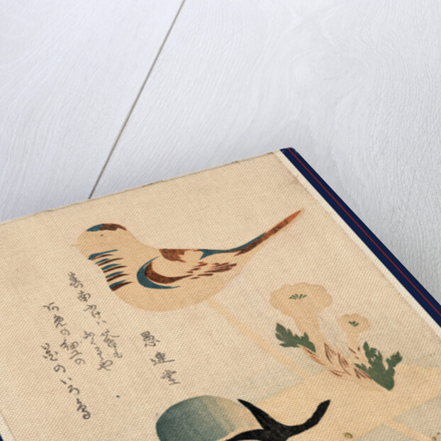 an Illustration of a Bird on a Stick with Flowers and an Unopened Blossom by Anonymous