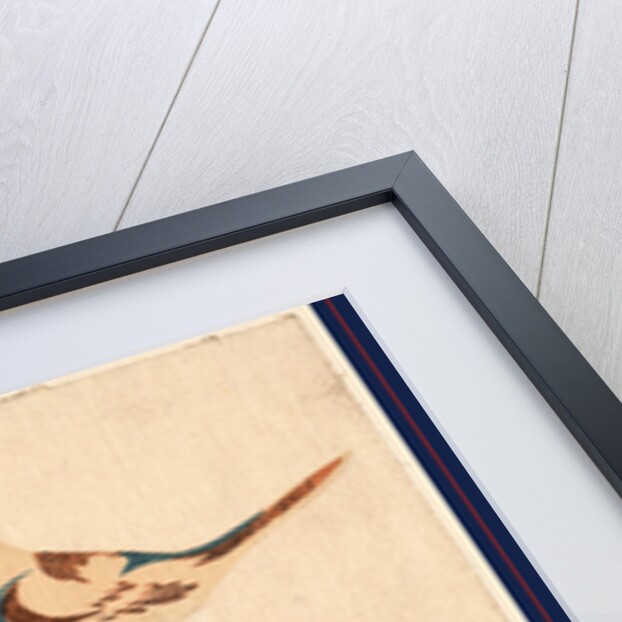 an Illustration of a Bird on a Stick with Flowers and an Unopened Blossom by Anonymous