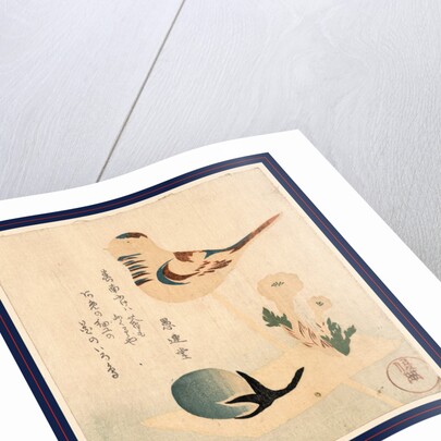 an Illustration of a Bird on a Stick with Flowers and an Unopened Blossom by Anonymous