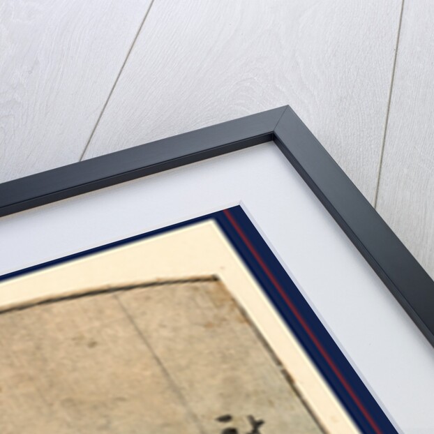 Two Turtles by Anonymous