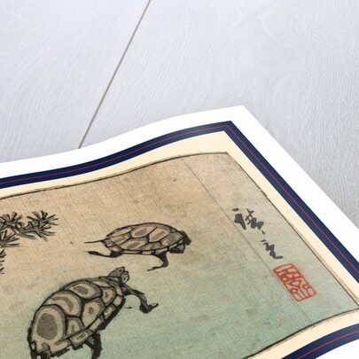 Two Turtles by Anonymous