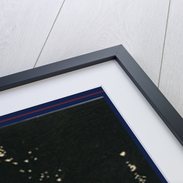 Flower Petals Falling on a Log Raft and the Man Driving the Raft by Anonymous