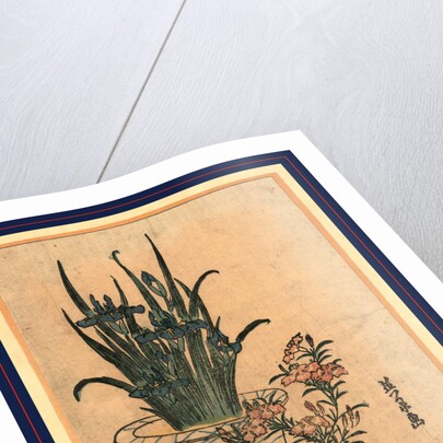 Two Flower Pots, One with Irises and the Other is the Pink Nadeshiko Flower by Anonymous