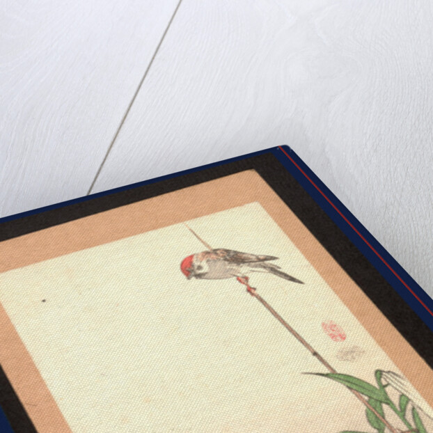 Small Red-Capped Bird Perched on a Bamboo Stake Supporting a Lily Plant. by Anonymous