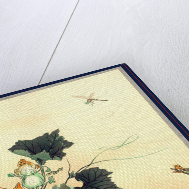 Kabocha ni tonbou, Dragonfly and pumpkin by Ogata Gekko