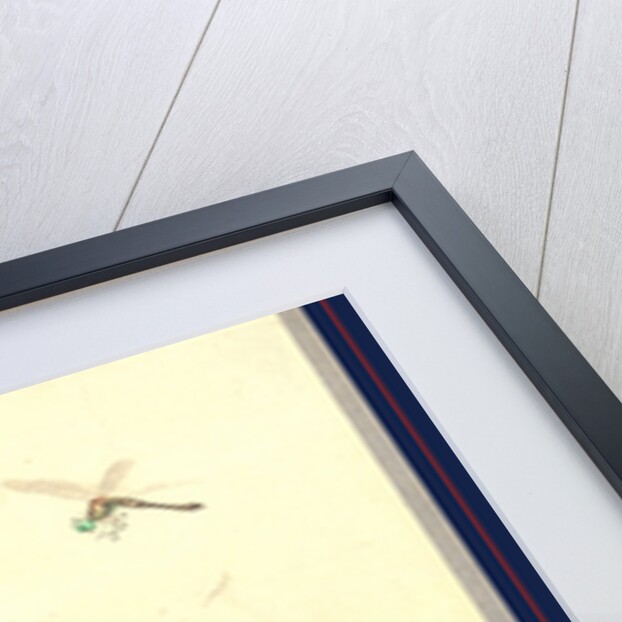 Kabocha ni tonbou, Dragonfly and pumpkin by Ogata Gekko