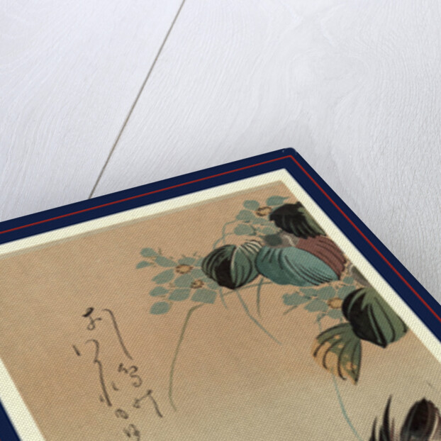 Oshidori, Mandarin ducks by Ando Hiroshige