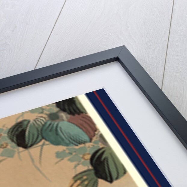 Oshidori, Mandarin ducks by Ando Hiroshige