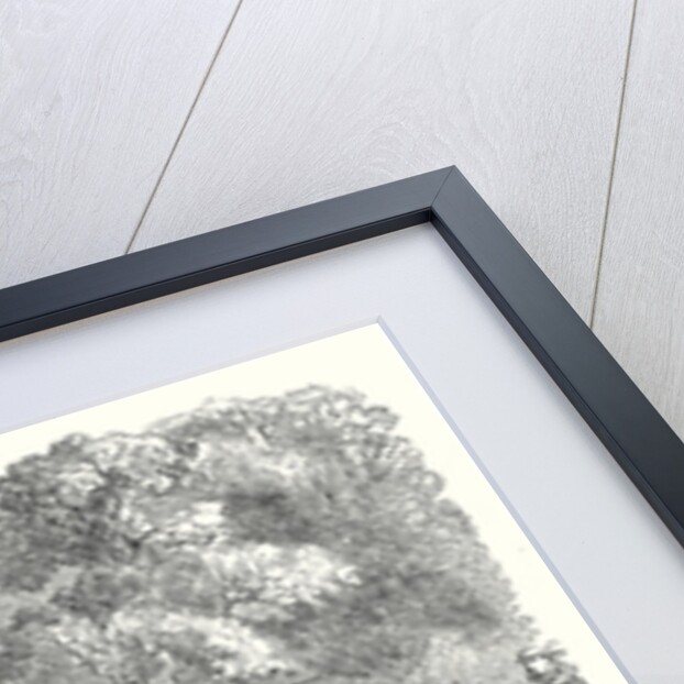 End of the American Civil War the Last Days of the Confederate Government Mr. Jefferson Davis Signing Acts of Government by the Roadside 22 July 1865 by Anonymous