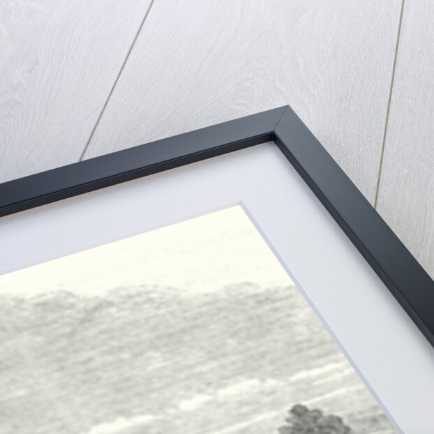 Dedication of the Monument on the Battlefield of Bull Run Virginia 15 July 1865 by Anonymous