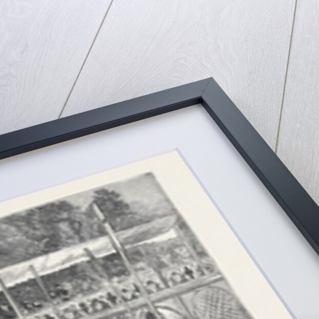 Oxford: Procession Night, the Boats Saluting the Head of the River in Front of the 'Varsity Barge by Anonymous