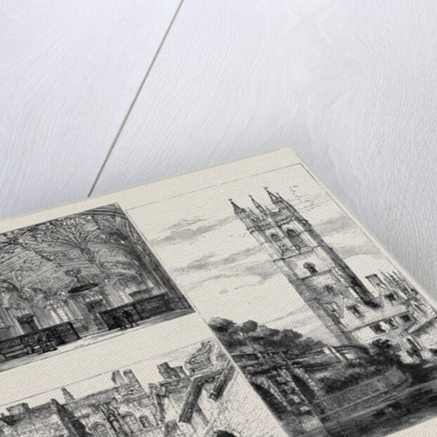 Oxford: Gateway, New College (Down Left); the Divinity School (Top Left); Tower, Magdalen College by Anonymous