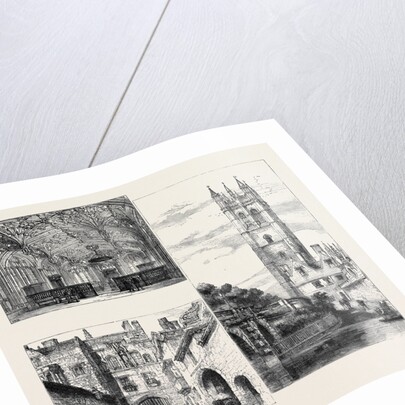 Oxford: Gateway, New College (Down Left); the Divinity School (Top Left); Tower, Magdalen College by Anonymous