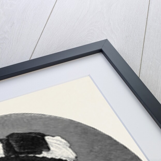 The Royal Wedding, the Mother of the Bride: H.S.H. Helen, Reigning Princess of Waldeck-Pyrmont by Anonymous