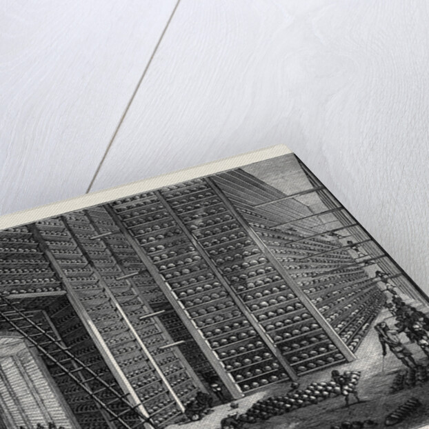 The Indo-Chinese Opium Trade, at an Opium Factory at Patna: The Stacking Room by Anonymous