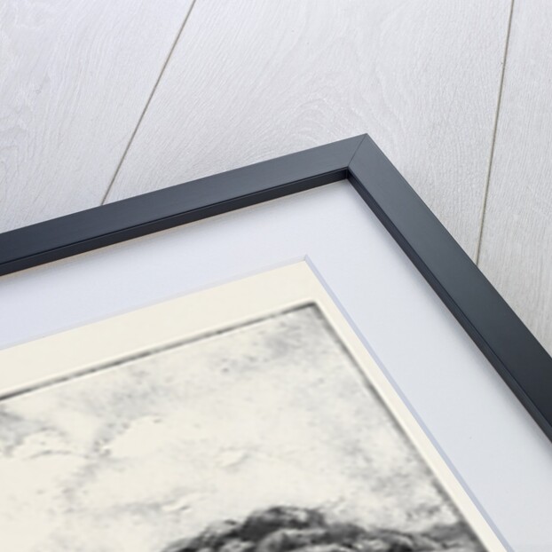 Giuseppe Garibaldi in 1840 by Anonymous