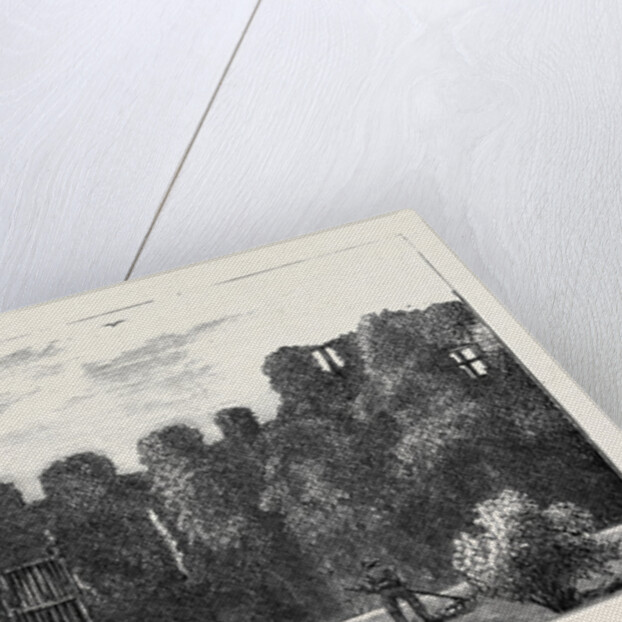 Leicester: The Abbey by Anonymous