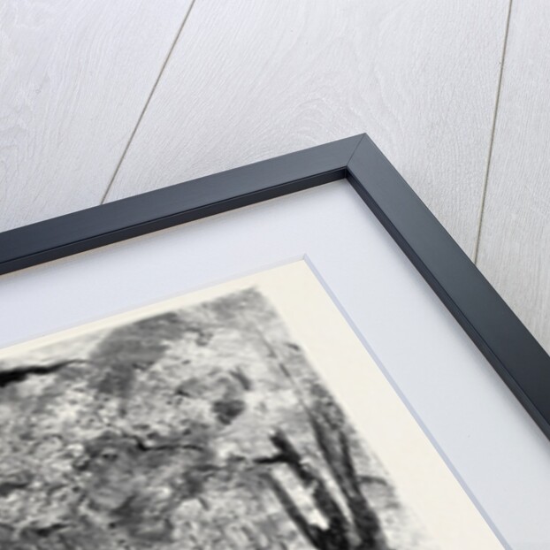 The Queen's Visit to Epping Forest: The Royal Procession Entering High Beech Wood by Anonymous