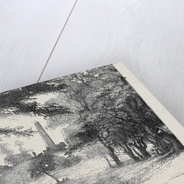 View in Phoenix Park, Dublin, Ireland by Anonymous