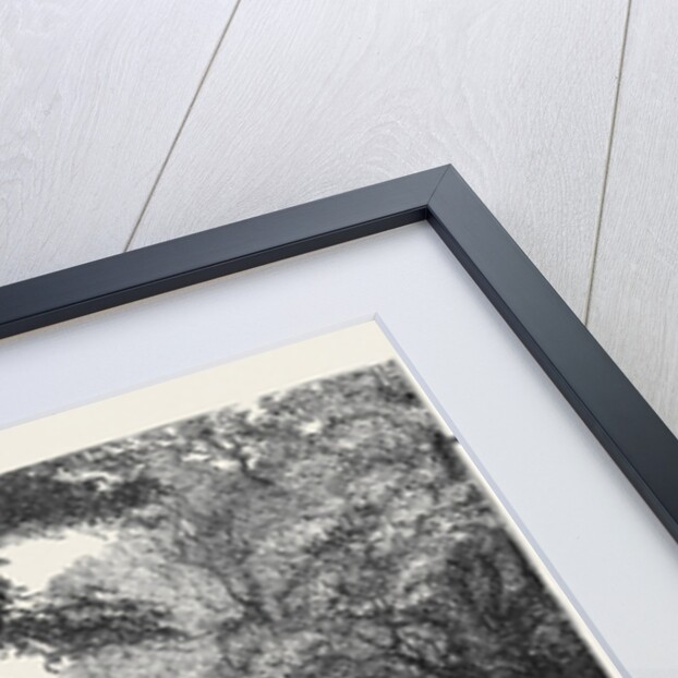 View in Phoenix Park, Dublin, Ireland by Anonymous